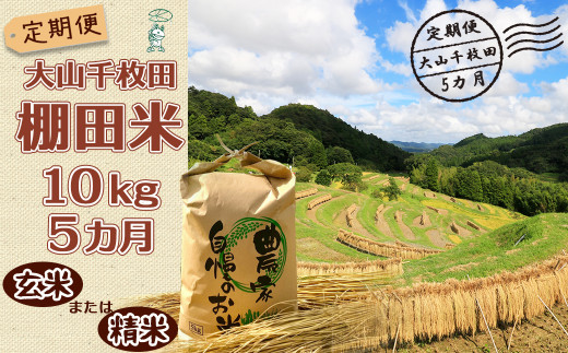 【大山千枚田の定期便】棚田米 10kg×５ヶ月　選べる【玄米】【精米】　[0080-0002]