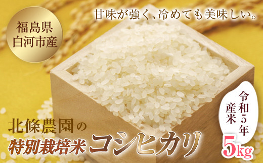 令和5年産米 北條農園の特別栽培米（コシヒカリ） 5kg F21R-102 592470 - 福島県白河市