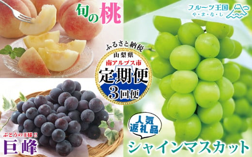 5-127 【山梨県産 定期便3回送り】南アルプスの果物セット