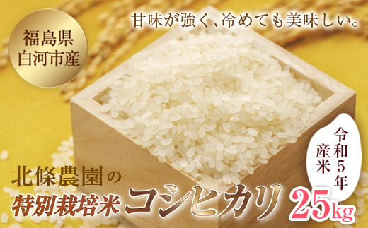 令和5年産米 北條農園の特別栽培米（コシヒカリ）25kg F21R-103 596157 - 福島県白河市
