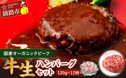 1月発送 生ハンバーグ120g×12枚 釧路生まれ、釧路育ちのオーガニックビーフ  F4F-3501 1132333 - 北海道釧路市