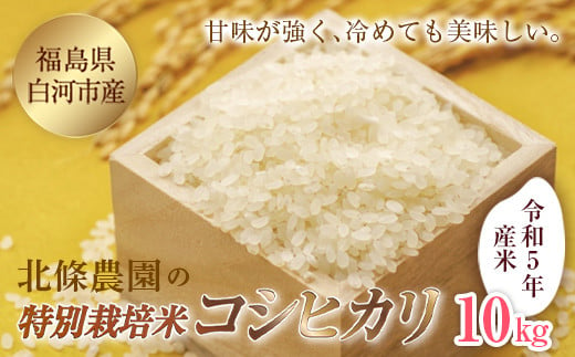 令和5年産米 北條農園の特別栽培米（コシヒカリ） 10kg F21R-100 592468 - 福島県白河市