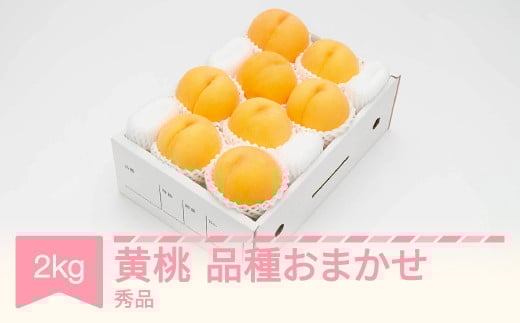 有袋黄桃 秀品 品種おまかせ 化粧箱入り 約2kg 令和7年産 2025年産 山形県産 果物 送料無料 ※沖縄・離島への配送不可 ns-mootx2