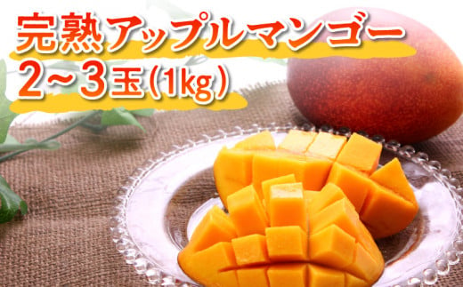 【先行予約】沖永良部完熟アップルマンゴー2～3玉で1kg 【6月下旬～8月中旬】