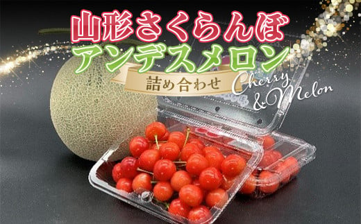 【令和6年発送】期間限定 山形さくらんぼとアンデスメロン詰め合わせ FSY-1160 1168379 - 山形県山形県庁