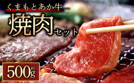 【GI認証】くまもとあか牛 焼肉用約500g 阿蘇牧場 熊本県 阿蘇市 1132519 - 熊本県阿蘇市