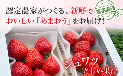 【限定】あまおうプレミアム約270g×4パック(農家直送) あまおう いちご 農家直送 フルーツ お取り寄せグルメ お取り寄せ 福岡 お土産 九州  福岡土産 取り寄せ グルメ 福岡県