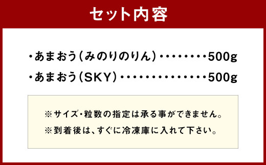 こだわりの 冷凍 博多あまおう 食べ比べ セット 1kg 500g×2種