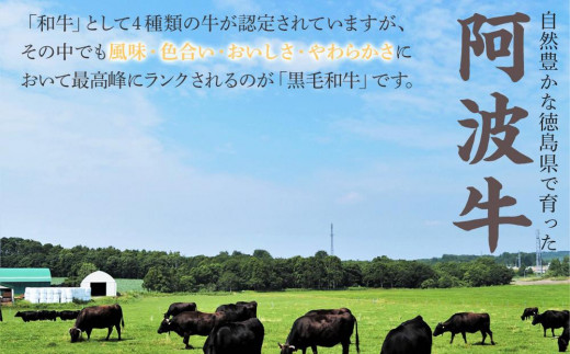 徳島県徳島市のふるさと納税 ＜一人贅沢＞阿波牛のきわみ「一貫牛」ロースステーキ(1枚）220ｇ