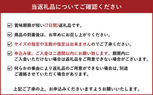 宇城市産 温室ハウス栽培 プレミアム完熟不知火 約5kg 髙橋果樹園