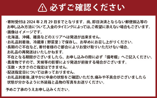 2024年2月上旬発送開始】熊本県産いちご 恋みのり2キロ(8パック) 苺