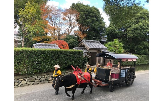 【5-3　特定非営利活動法人　いずみ観光牛車会】
日本で唯一の観光牛車，鶴と歴史の街出水をご案内