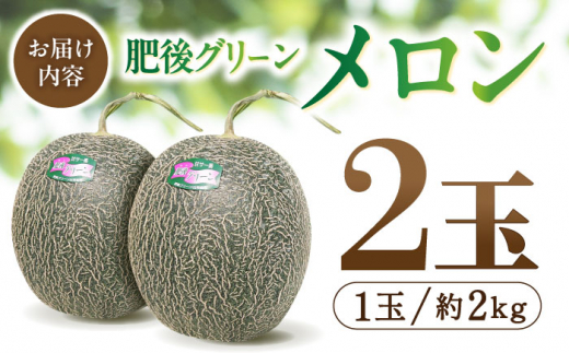 数量限定】【先行予約】 肥後グリーン メロン 2玉 【合同会社 福福堂】 めろん 果物 大玉 熊本県 九州 国産 フルーツ 旬 [ZCN003] -  熊本県山鹿市｜ふるさとチョイス - ふるさと納税サイト