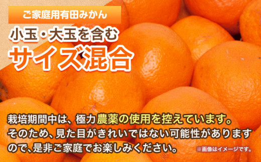 和歌山県日高町のふるさと納税 ＜先行予約＞家庭用 超熟 有田 みかん 5kg+150g（傷み補償分）【わけあり・訳あり】【光センサー選果】池田鹿蔵農園@日高町（池田農園株式会社）《11月上旬-12月末頃出荷》和歌山県 日高町【配送不可地域あり】みかん 有田みかん