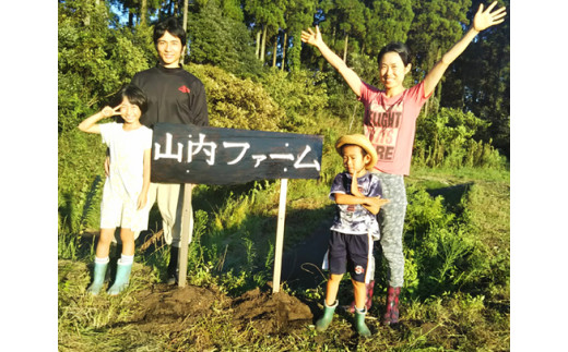 減額 茨城県産紅はるか30キロ 米工房ほたる様専用品 | www.barkat.tv