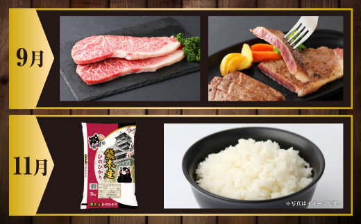 【年6回定期便】熊本の名産品(お肉・米)定期便