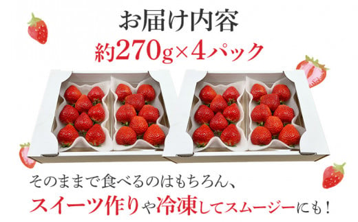 【限定】あまおうプレミアム約270g×4パック(農家直送) あまおう いちご 農家直送 フルーツ お取り寄せグルメ お取り寄せ 福岡 お土産 九州  福岡土産 取り寄せ グルメ 福岡県