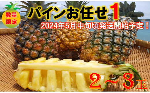 東村産パインアップルお任せセット１(2～4個)　【2024年発送】