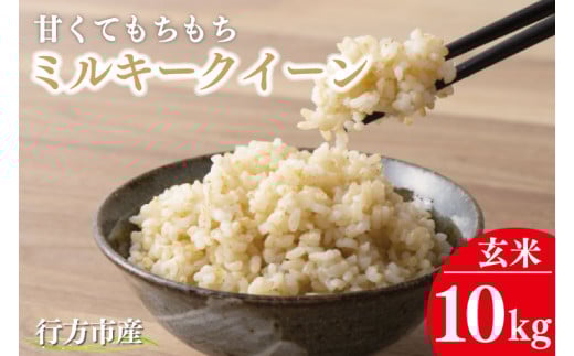 ★令和7年度産★甘くてもちもち ミルキークイーン10kg(玄米)|米 お米 こめ ミルキークイーン 令和7年産 R7年産 新米 玄米 茨城県 行方市(BR-10) 1132173 - 茨城県行方市
