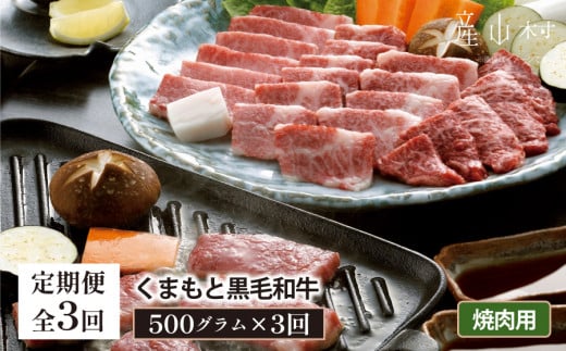 【定期便3回】くまもと黒毛和牛　焼肉用　500ｇ 1135436 - 熊本県産山村