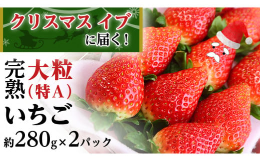 クリスマス イブ （ 12月24日 ）に 届く！ 完熟 いちご 2パック！ （1P