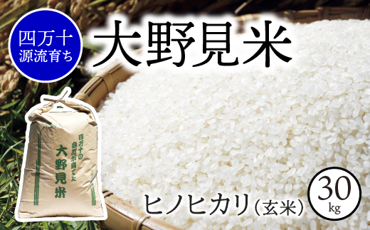 【 四万十源流 育ち 】特別栽培 大野見米 ヒノヒカリ 30kg ( 玄米 ) ご飯 米 お米 ﾋﾉﾋｶﾘ 四万十