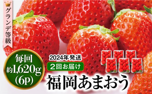 【全2回定期便】【先行予約・2025年3月初旬より順次発送】【 数量限定 】 あまおう いちご 1,620g ( 約 270g × 6パック ) 糸島市 / 株式会社HSP-テクノ グランデ 等級 福岡県産 [AZL006] 1092664 - 福岡県糸島市