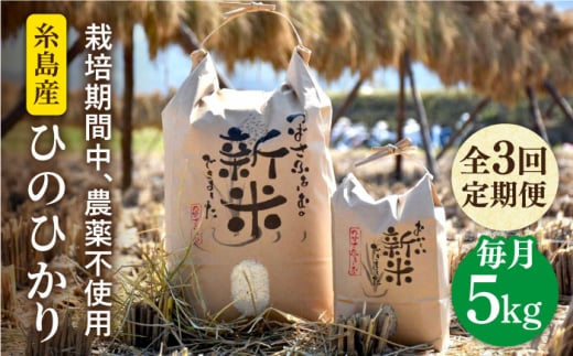 [全3回定期便] 糸島産 雷山のふもとの米 農薬不使用 5kg 糸島市 / ツバサファーム [ANI003] 白米 玄米