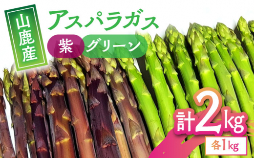 【先行予約】アスパラガス紫1kg・グリーン1kg【中川 誠一】アスパラ サラダ 2種 食べ比べ 熊本県産 [ZDM004]
