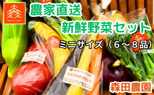 農家直送新鮮野菜セット（ミニ）６～８品