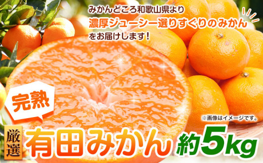 [先行予約]厳選 完熟有田みかん 5kg+150g(傷み補償分)[光センサー選果] 池田鹿蔵農園@日高町(池田農園株式会社)[11月中旬-1月末頃出荷 ]和歌山県 日高町 みかん 有田みかん 完熟 厳選[配送不可地域あり]