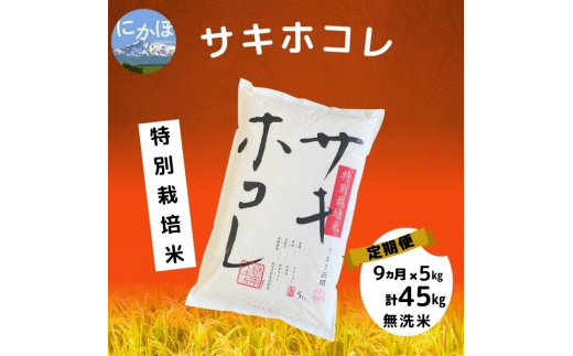 【令和5年産】<9ヵ月定期便>【無洗米】特別栽培米サキホコレ5kg×9回