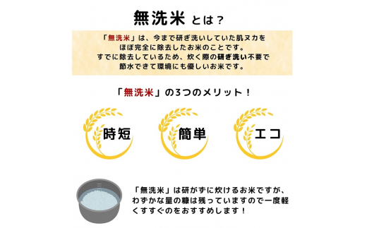 令和5年産】【無洗米】特別栽培米コシヒカリ5kg×2 - 秋田県にかほ市