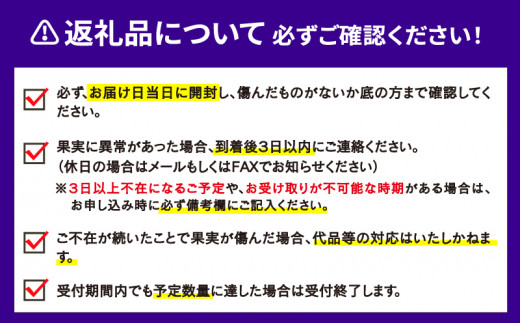 媛小春 3kg 兵頭農園 愛媛 みかん 限定 品種 蜜柑 果物 フルーツ 柑橘