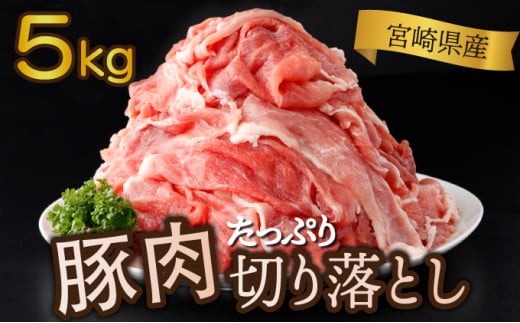 KU481 宮崎県産 豚肉切り落とし 250g×20パック 合計5kg