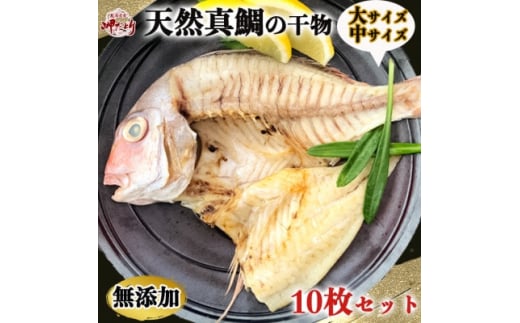 岬だよりの＜人気沸騰中＞天然真鯛の干物　10枚セット 1133018 - 愛知県南知多町