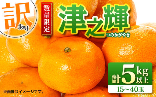 先行予約 訳あり 数量限定 津之輝 つのかがやき 5kg以上 (5kg×1箱) フルーツ 果物 くだもの 柑橘 みかん 国産 食品 おすすめ 訳アリ ご家庭用 ご自宅用 B品 傷 おすそ分け デザート おやつ フルーツサンド ジュース 宮崎県 日南市 送料無料_BB86-23 492255 - 宮崎県日南市