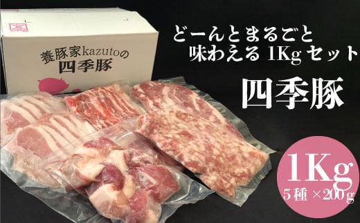 四季豚　ドーンとまるごと味わえる１kgセット 1154062 - 茨城県笠間市
