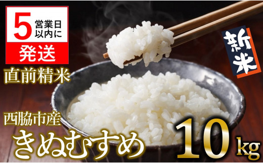 きぬむすめのふるさと納税 カテゴリ・ランキング・一覧【ふるさと