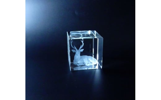 3D レーザー加工のクリスタルガラス1個 有限会社高山商会 奈良市 F-74 1133686 - 奈良県奈良市