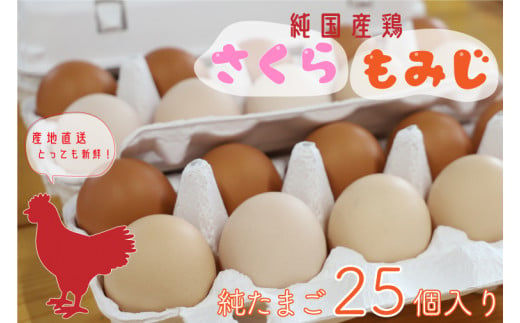 純国産鶏【さくらともみじ】純たまご25個 (AJ013-1)