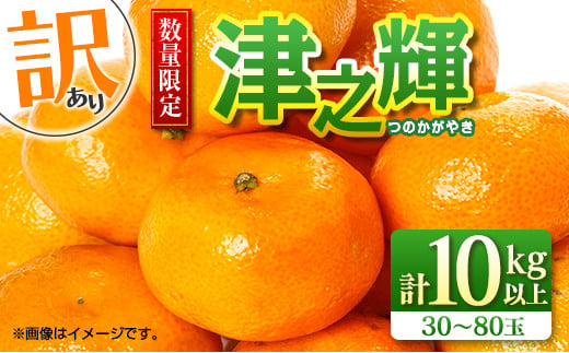 先行予約 訳あり 数量限定 津之輝 つのかがやき 10kg以上 (5kg×2箱) フルーツ 果物 くだもの 柑橘 みかん 国産 食品 おすすめ 訳アリ ご家庭用 ご自宅用 B品 傷 おすそ分け デザート おやつ フルーツサンド ジュース 宮崎県 日南市 送料無料_D74-23 1137360 - 宮崎県日南市