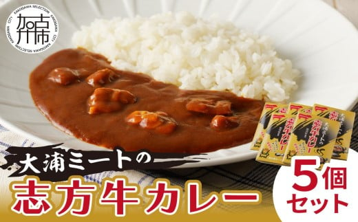 ★選べる配送月★ [3月発送] 大浦ミートの志方牛カレー 5個セット〈おすすめ カレー 人気 美味しい レトルト 牛肉 ビーフカレー セット 詰め合わせ お取り寄せ グルメ 送料無料〉【2400I00212-03】