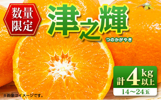 先行予約 数量限定 津之輝 つのかがやき 4kg以上 (2kg×2箱) フルーツ 果物 くだもの 柑橘 みかん 国産 食品 おすすめ ギフト 贈り物 贈答 プレゼント お返し お祝い 記念日 デザート おやつ フルーツサンド ジュース 宮崎県 日南市 送料無料_BD92-24 1137362 - 宮崎県日南市