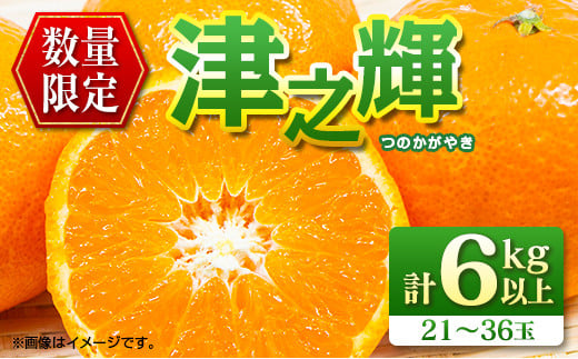 先行予約 数量限定 津之輝 つのかがやき 6kg以上 (2kg×3箱) フルーツ 果物 くだもの 柑橘 みかん 国産 食品 おすすめ ギフト 贈り物 贈答 プレゼント お返し お祝い 記念日 デザート おやつ フルーツサンド ジュース 宮崎県 日南市 送料無料_D90-24 1137361 - 宮崎県日南市