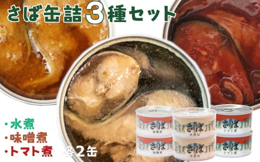 木の屋石巻水産 美里町直売所厳選フレッシュパック缶詰２４缶セット