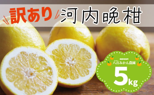 訳あり 】 河内晩柑 5kg 先行予約 <発送期間：4月上旬～無くなり次第