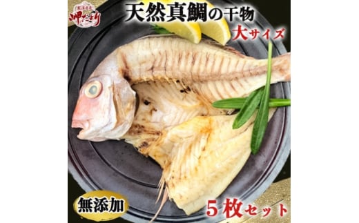 岬だよりの＜人気沸騰中＞天然真鯛の干物　大サイズ5枚セット 1133016 - 愛知県南知多町