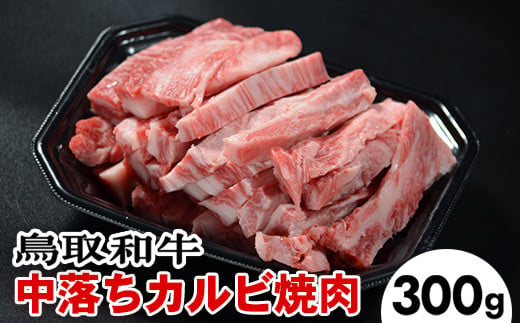 728．鳥取和牛 中落ちカルビ焼肉（300g）※離島への配送不可 1134314 - 鳥取県北栄町
