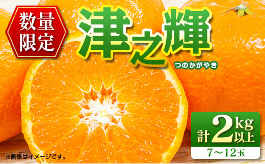 先行予約 数量限定 津之輝 つのかがやき 2kg以上 (2kg×1箱) フルーツ 果物 くだもの 柑橘 みかん 国産 食品 おすすめ ギフト 贈り物 贈答 プレゼント お返し お祝い 記念日 デザート おやつ フルーツサンド ジュース 宮崎県 日南市 送料無料_A79-23 1137363 - 宮崎県日南市